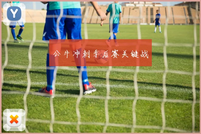 公牛冲刺季后赛关键战
