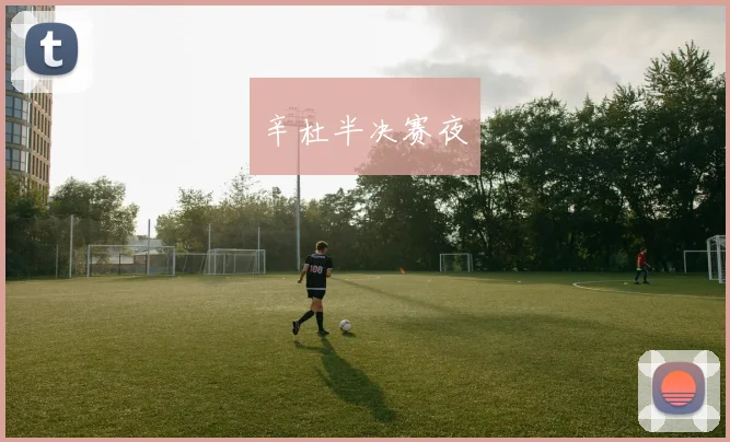 辛杜半决赛夜