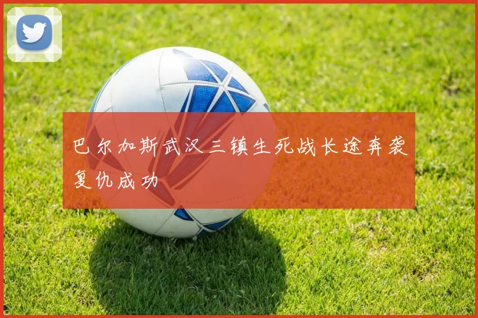 巴尔加斯武汉三镇生死战长途奔袭复仇成功