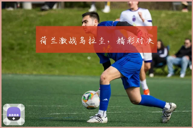 荷兰激战乌拉圭,精彩对决