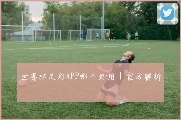 世界杯足彩APP哪个好用|官方解析