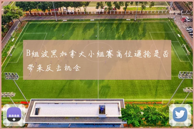 B组波黑加拿大小组赛高位逼抢是否带来反击机会