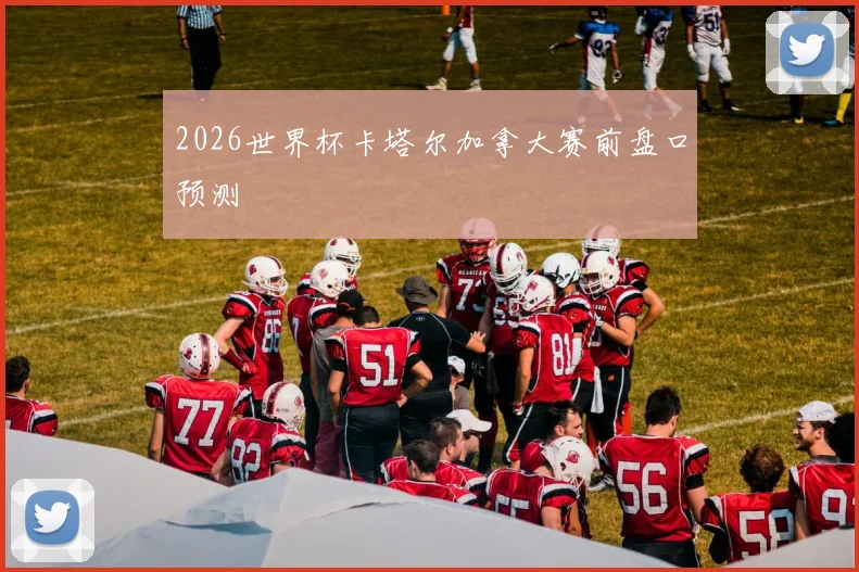 2026世界杯卡塔尔加拿大赛前盘口预测